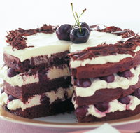 The Cheesecake Shop - Camp Hill - Accommodation QLD