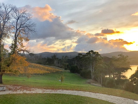 Waterton Hall Wines - Accommodation QLD 1