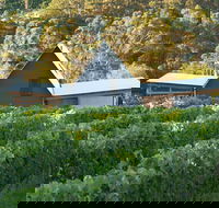 Two Bud Spur Vineyard - Accommodation QLD