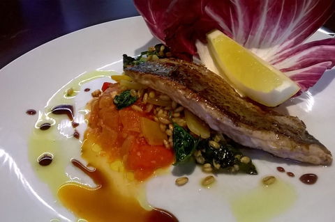 X74 - Accommodation QLD 0