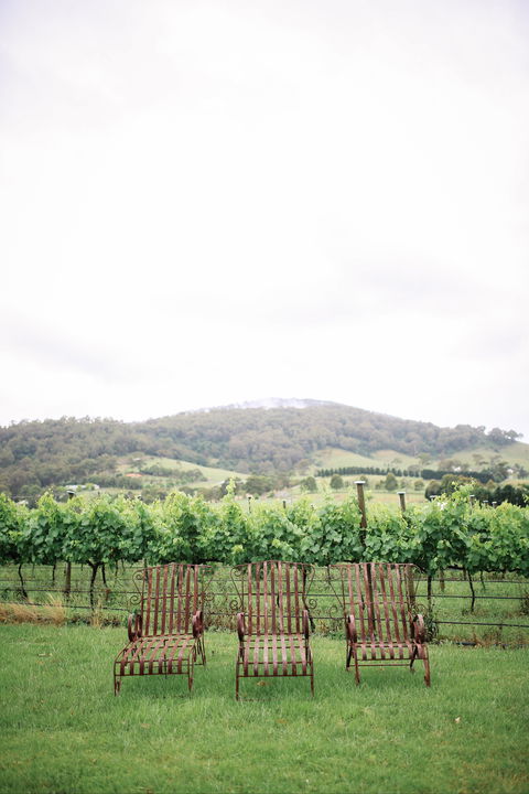 Two Figs Winery - Accommodation QLD 2