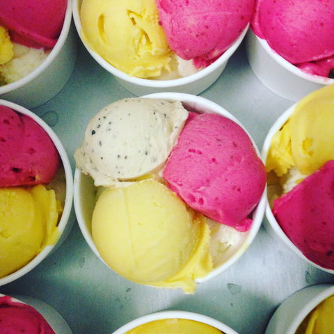 Daintree Ice Cream Company - Accommodation QLD 2