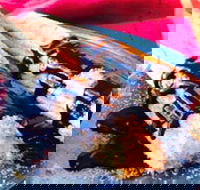 Delhi Grill - Accommodation QLD