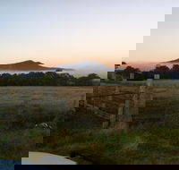 Mountainside Wines - Accommodation QLD