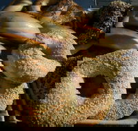 NYC Bagel Deli - Chermside - Accommodation QLD