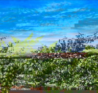 Rowsley Fault Vineyards - Accommodation QLD