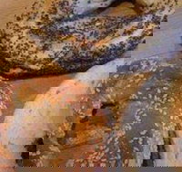 Glick's - Balaclava - Accommodation QLD