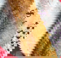 Jesters - Mirrabooka - Accommodation QLD