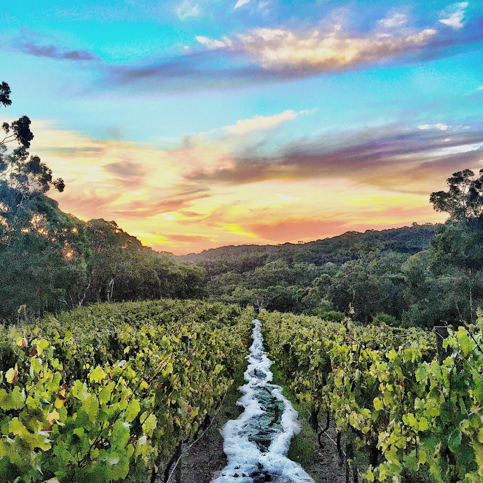 Adelaide Hills SA Accommodation QLD