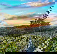 Between the Vines Cellar Door - Accommodation QLD