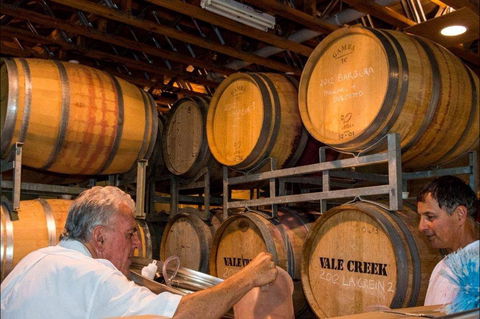 Vale Creek Wines - Accommodation QLD 1