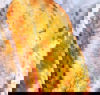 Burnt Toast - Accommodation QLD