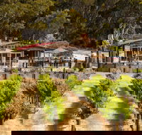 False Cape Wines Cellar Door - Accommodation QLD