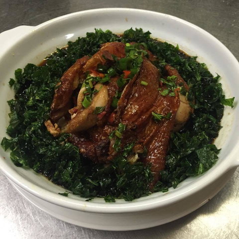 Lakeside Harmony - Accommodation QLD 0