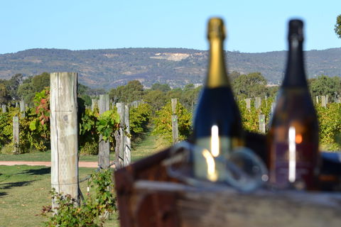 Ugly Duckling Wines - Accommodation QLD 1
