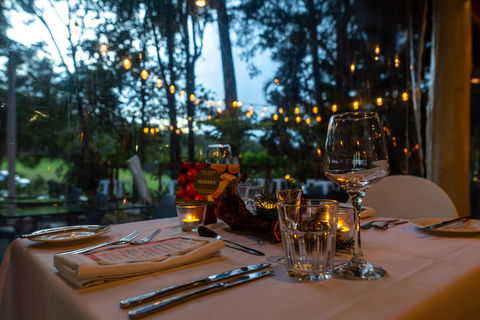 Rainforest Restaurant And Lounge Bar - Accommodation QLD 1