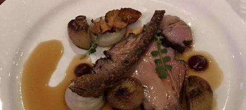 GESHA Coffee Co - Accommodation QLD 0