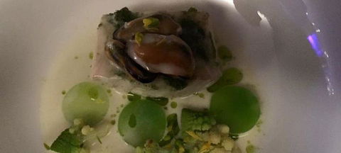 GESHA Coffee Co - Accommodation QLD 2