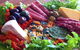 Goodies Cafe & Catering - thumb 2