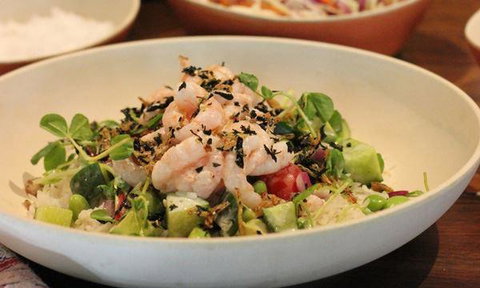 Salmon & Bear - Accommodation QLD 5