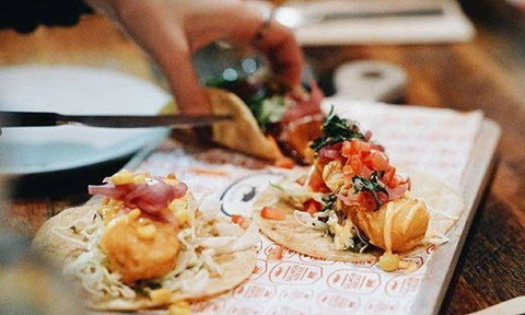 Salmon & Bear - Accommodation QLD 6