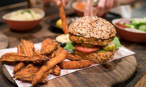 Salmon & Bear - Accommodation QLD 8