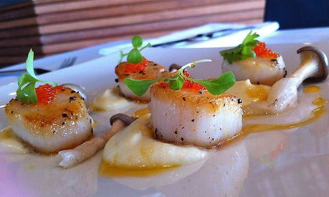 Tea Gardens Boatshed - Accommodation QLD 2