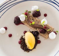 Wild Herring - Accommodation QLD
