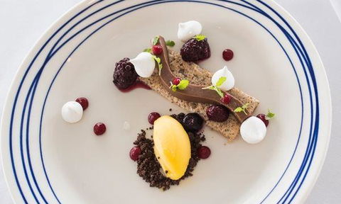 Wild Herring - Accommodation QLD 0