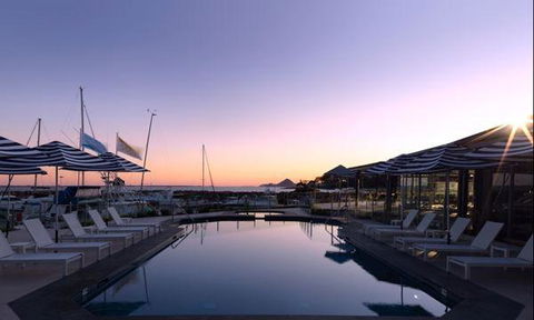 Wild Herring - Accommodation QLD 1