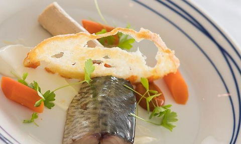 Wild Herring - Accommodation QLD 2
