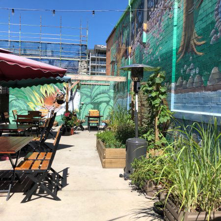 O Cha Cha - Accommodation QLD 0