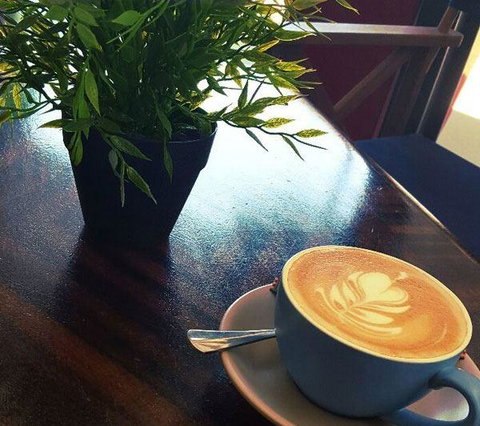 Waterloo Hotel - Accommodation QLD 4