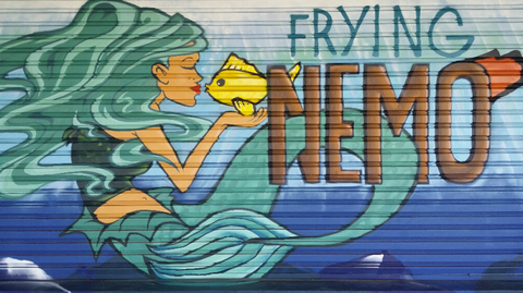 Frying Nemo - Accommodation QLD 3