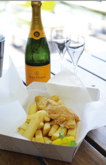 Frying Nemo - Accommodation QLD 4