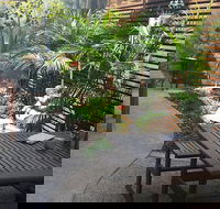 The Garden Plate - Accommodation QLD