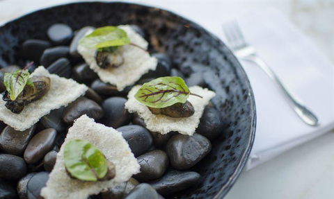 V Series - Accommodation QLD 11