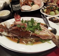 Shark Fin Inn - Accommodation QLD