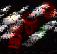 Spaghetti Tree - Accommodation QLD