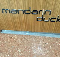 Mandarin Duck - Accommodation QLD