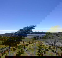 Barringwood Vineyard and Cellar Door Restaurant - Accommodation QLD