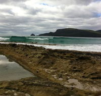 Bruny Island Berry Farm - Accommodation QLD