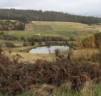 Fat Pig Farm - Accommodation QLD
