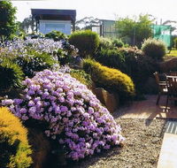 Pipers River Tea House and Crafts - Accommodation QLD