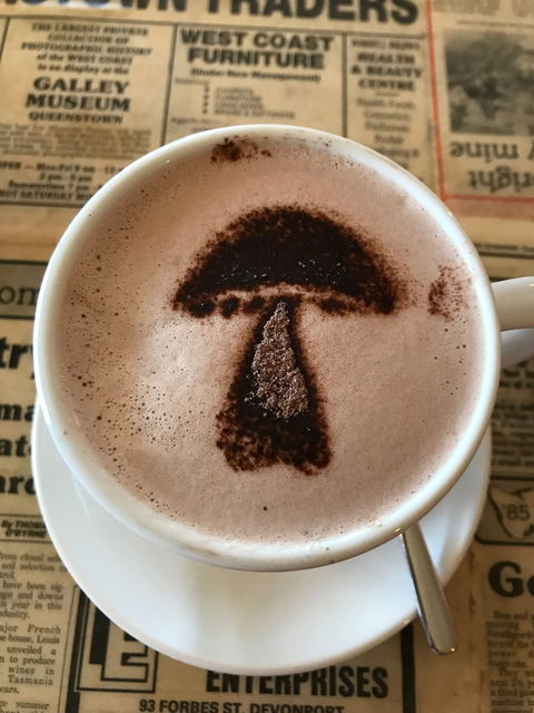 The Mushroom At Waratah - Accommodation QLD 9