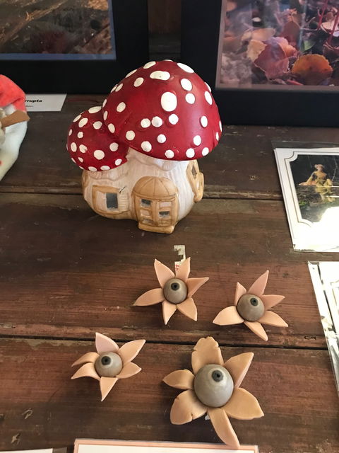 The Mushroom At Waratah - Accommodation QLD 7