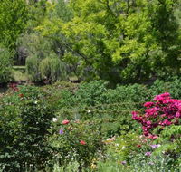 Berry Delightful - Accommodation QLD