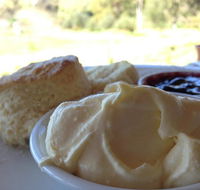 Tanglefoot Winery Cafe - Accommodation QLD