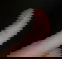 The Roast N Grill Cafe - Accommodation QLD