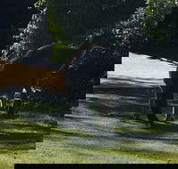 Footprints - Accommodation QLD